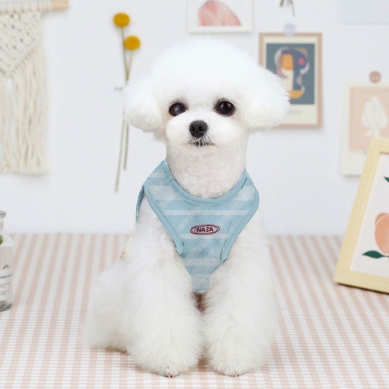 Chaleco para Mascotas Kawaii C - Summer Away Clothing reseña y precio